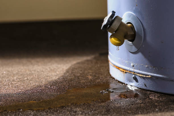 Best Basement water damage restoration  in Kittitas, WA