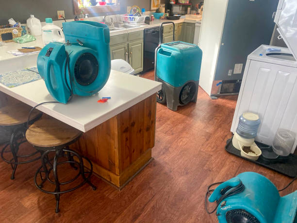 Best Professional water damage repair  in Kittitas, WA