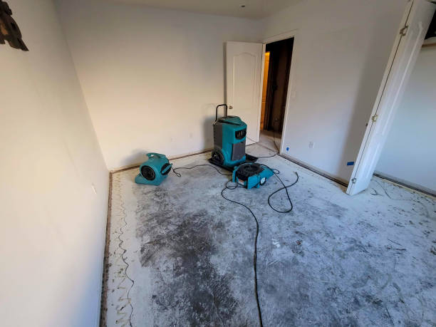 Best Sewage cleanup and water damage restoration  in Kittitas, WA
